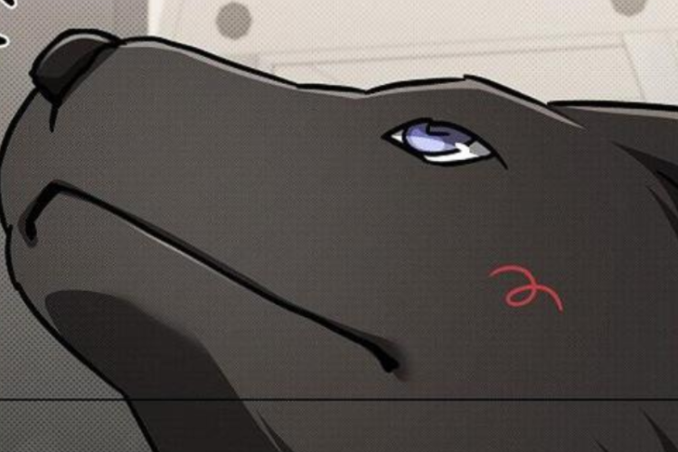 The Cutest Couple! Spoiler & Reading Link BL Manhwa Don’t Mess With the Puppy! Chapter 47 English Translation